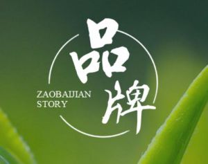 XYHCMS网站建设分享网站设计知识